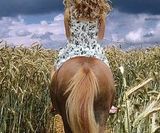 horsewoman-2707691_640