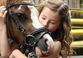 empati, kompetencer og medfølelse nøddeholt rideterapi