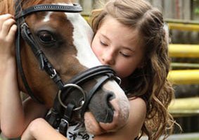 empati, kompetencer og medfølelse nøddeholt rideterapi